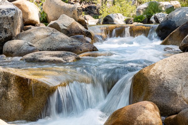 Calaveras Big Trees State Park by null