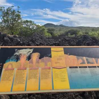 Rangitoto Island - Local Flavor Near Me - Auckland, AUK Rangitoto Island - Local Flavor Near Me - Auckland, AUK