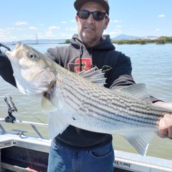 Topline Sportfishing