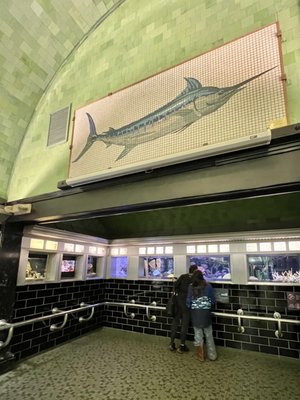 Belle Isle Aquarium by null