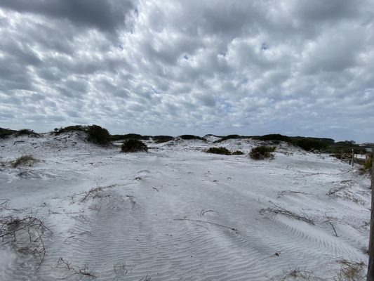 Grayton Beach State Park by null