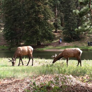 Estes Park Center YMCA - Resorts Near Me - Estes Park, Colorado Estes Park Center YMCA - Resorts Near Me - Estes Park, Colorado