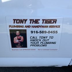 Tony the Tiger Plumbing and Handyman Service