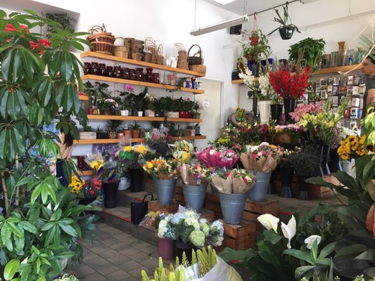 Flower Outlet & Gifts by null