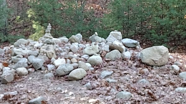 Walden Pond State Reservation by null
