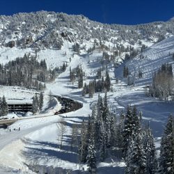 Canyon Transportation - Snowbird from my hotel room