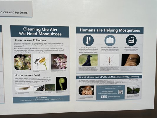 Florida Museum of Natural History by null