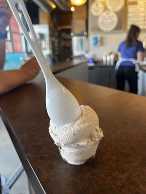 Sweet Cow by null