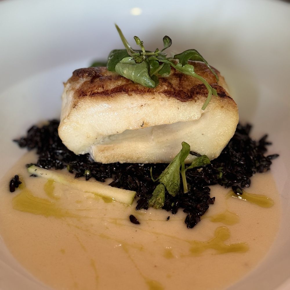 Zucca - Chilean seabass - Italian Near Me - Coral Gables, Florida Zucca - Chilean seabass - Italian Near Me - Coral Gables, Florida