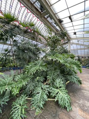 Jardín Botánico del Bosque de Chapultepec by null