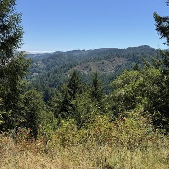 Samuel P Taylor State Park - Parks Near Me - Lagunitas, California Samuel P Taylor State Park - Parks Near Me - Lagunitas, California