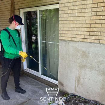 Sentinel Pest Solutions - Pest Control Near Me Sentinel Pest Solutions - Pest Control Near Me
