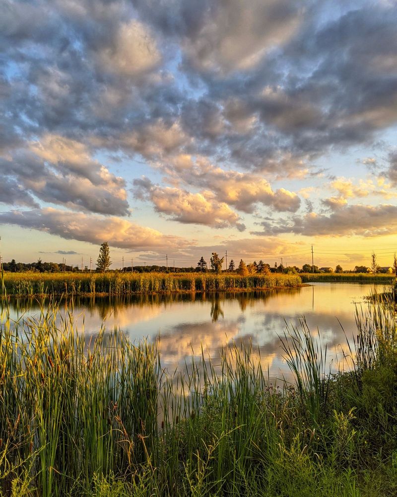 FLAT FORK CREEK PARK 152 Photos & 38 Reviews 16141 E 101st St, Fortville, Indiana Hiking