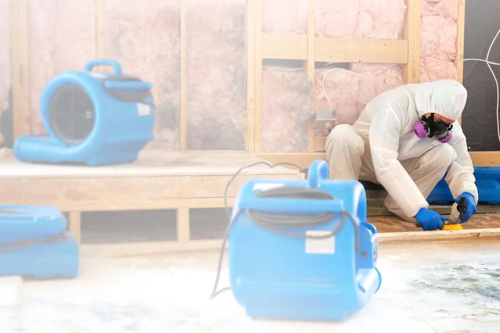 Bingham Restoration - mold inspector in American Fork, UT