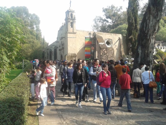 Museo Dolores Olmedo by null