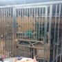 Photo of Glass Brother's Handyman Service