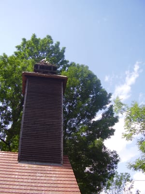 Freilandmuseum Lehde by null