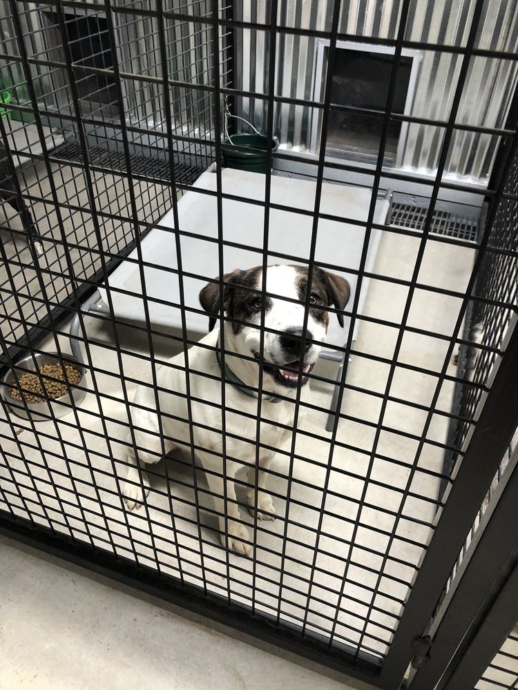 LAKE COUNTRY PET RESORT 1510 State Hwy 32, Marietta, OK Yelp