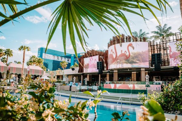 Palm Tree Beach Club by null