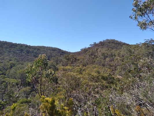 Cleland National Park by null