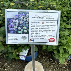 Hoerr Nursery