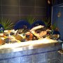 Photo of Poissonnerie Blomet