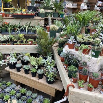 Trax Farms - Cacti & Succulents - Fruits & Veggies Near Me - Finleyville, Pennsylvania