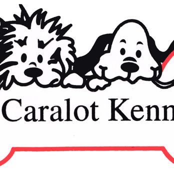 Caralot Kennel - Pet Boarding Near Me - Midland, Texas Caralot Kennel - Pet Boarding Near Me - Midland, Texas