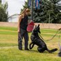Photo of Gannett K9