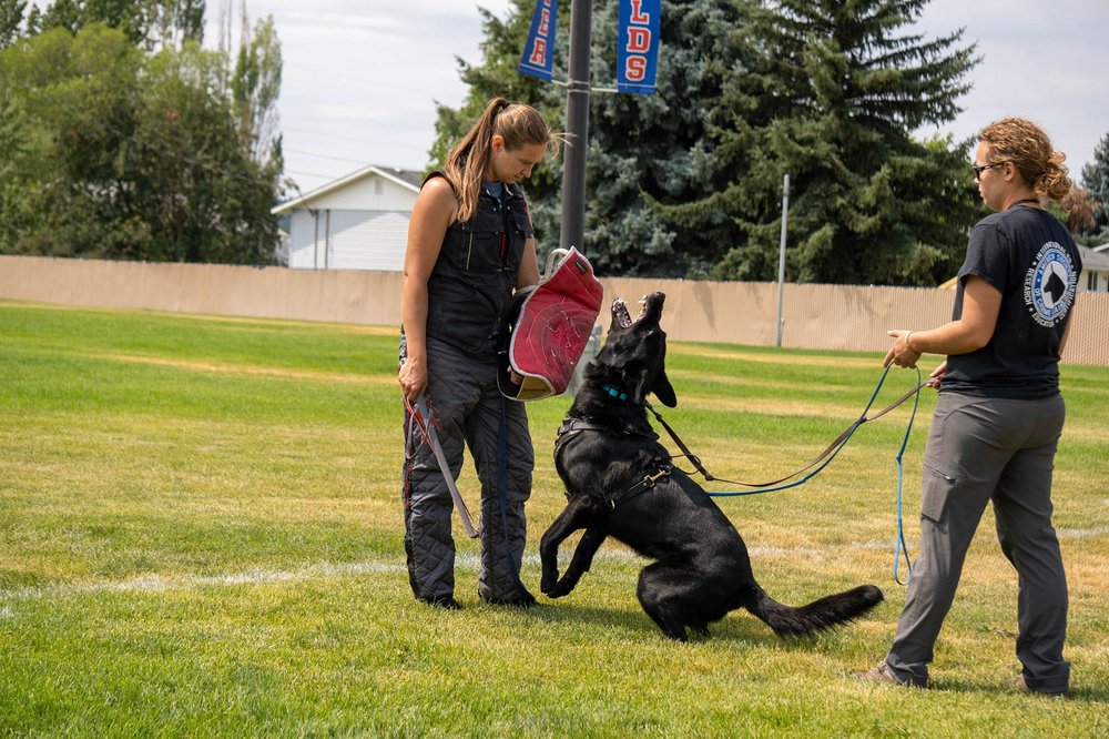 Gannett K9 - pet boarding facility in Saint John, WA