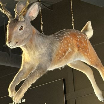 Hopscotch Whiskey Bar - Huge jackalope hanging from ceiling - Whiskey Bars Near Me - Saint John, New Brunswick