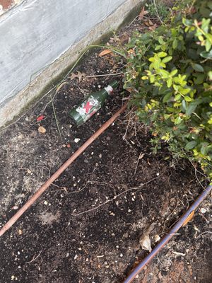 1879 at the Grid Apartments by null