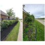 Photo of Precise Landscapes and Irrigation