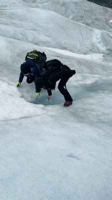 Kenai Fjords National Park by null