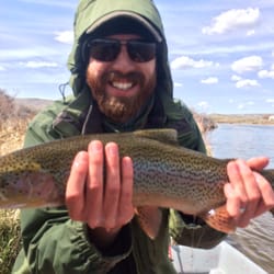 Drift Fly Fishing - Wild, Grey Reef Rainbow (one of many)!