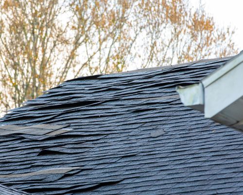 Wiener Dog Roofing Logo