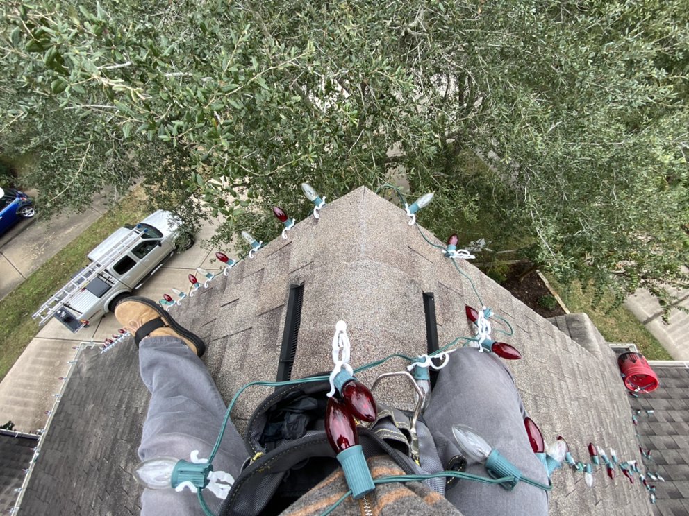 Slide of BAM Restoration