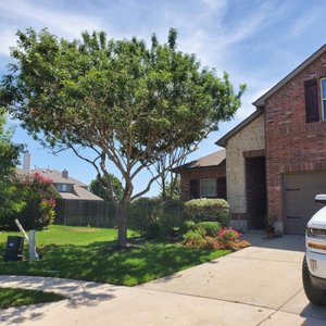 FANNIN TREE FARM - Updated October 2025 - 44 Photos & 70 Reviews