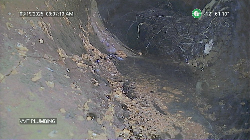 Slide of VVF Plumbing