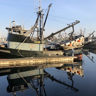 Fishermen's Terminal by null