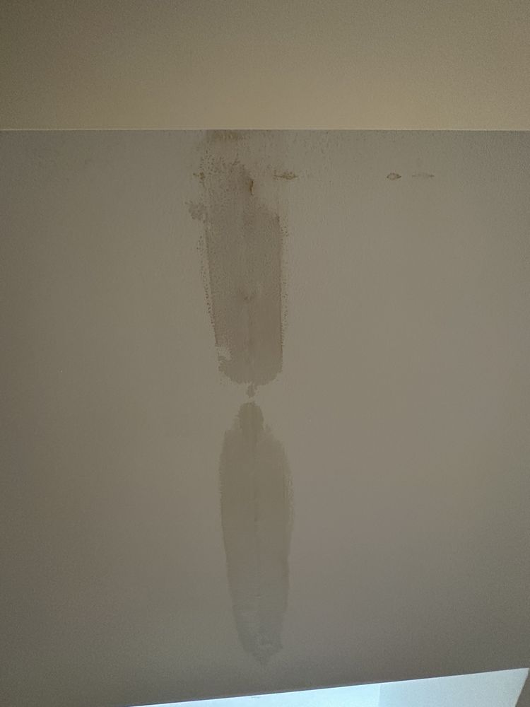 Slide of Str8 Flush Drain Cleaning