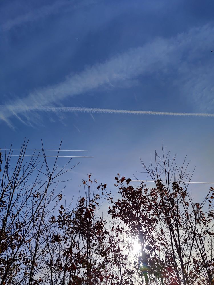 Buffalo Creek Preserve Trail Logo
