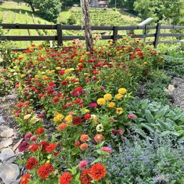 Gorgeous flower abound Gorgeous flower abound