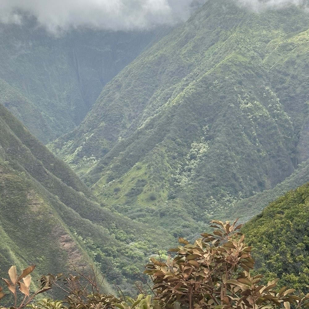 Maui Mountain Activities - Beautiful view from the top of the ride. - Horseback Riding Near Me - Wailuku, Hawaii