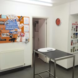 Zasman Vet Stroud Green - Zasman Vet Stroud Green consult room