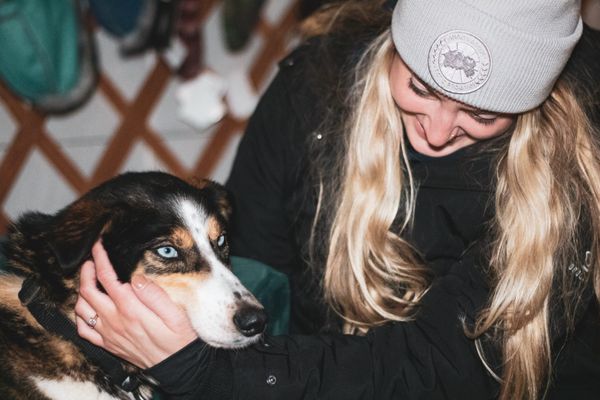 Last Frontier Mushing Co-op by null