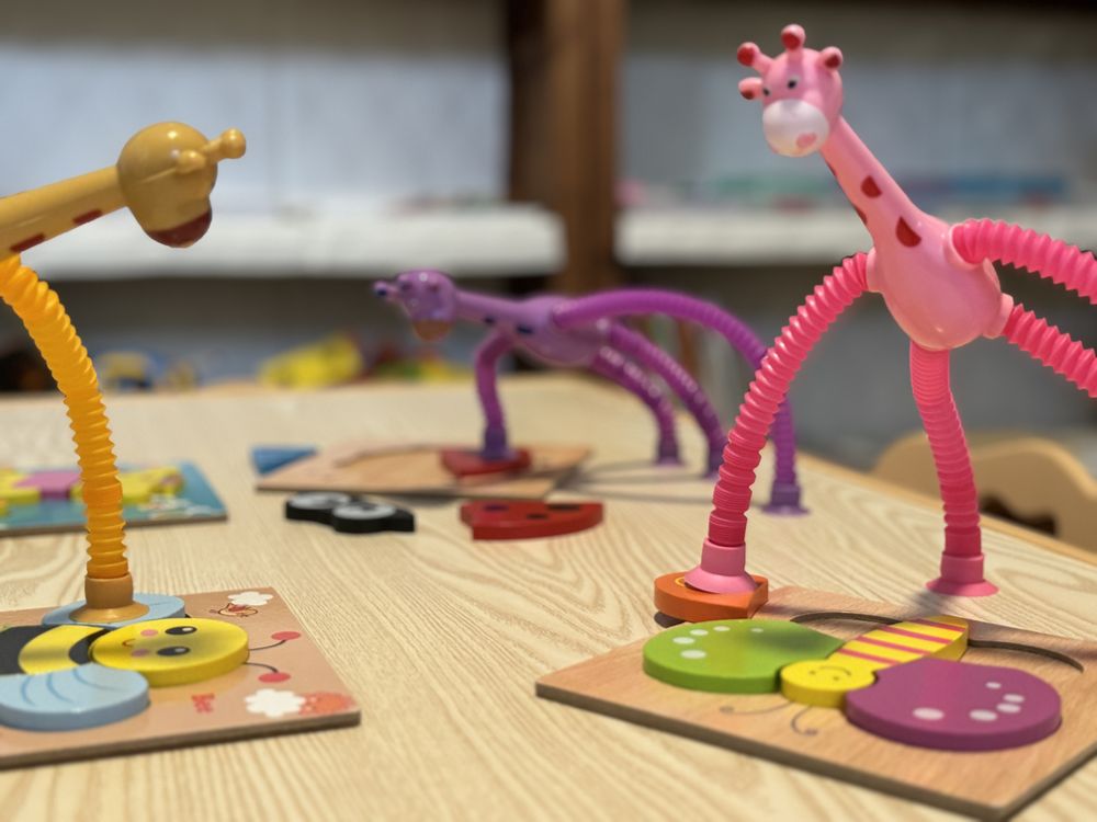 BrightFuture  home daycare - childcare center in Frisco, TX