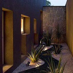 Dameron Designs