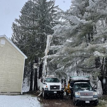 Tompkins Tree Service - Bucket truck - Tree Services Near Me Tompkins Tree Service - Bucket truck - Tree Services Near Me