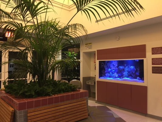 ANIMAL URGENT CARE OF SOUTH ORANGE COUNTY - Updated March 2025 - 89